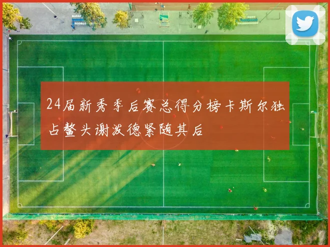 24届新秀季后赛总得分榜卡斯尔独占鳌头谢泼德紧随其后